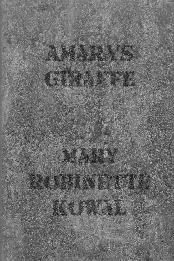Amara's Giraffe, written by Mary Robinette Kowal.