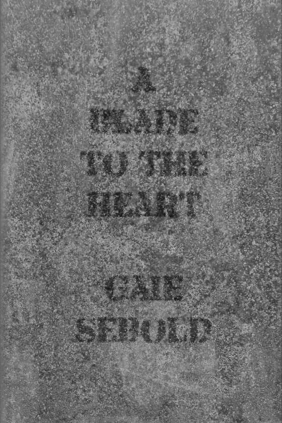 A Blade to the Heart, written by Gaie Sebold.