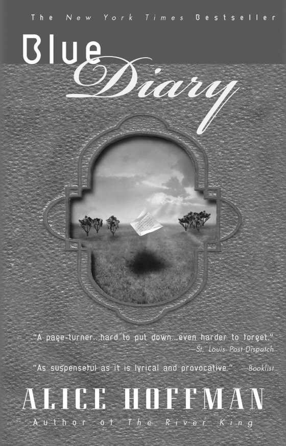 Click here to go to the Amazon page of, Blue Diary, written by Alice Hoffman.