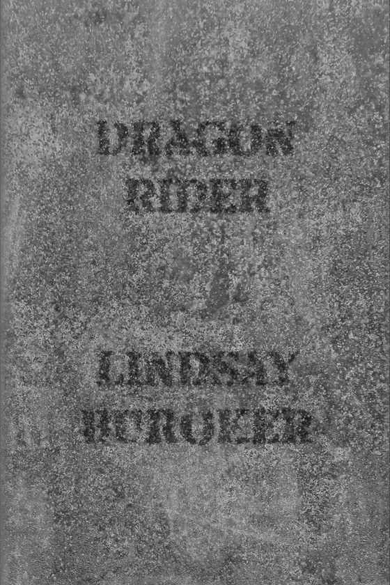 Dragon Rider. written by Lindsay Buroker.