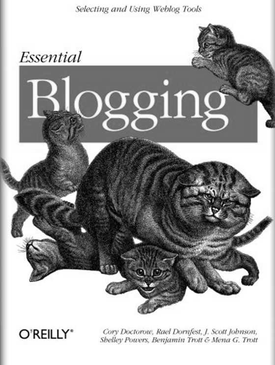 Click here to go to the Amazon page of, Essential Blogging, an anthology.