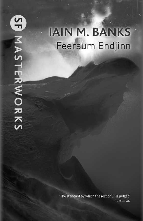 Feersum Endjinn, written by Iain M Banks.