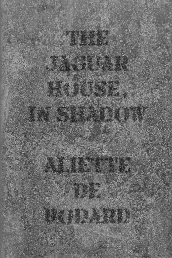 The Jaguar House, in Shadow, written by Aliette de Bodard.