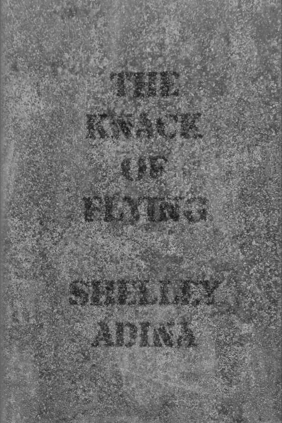 The Knack of Flying, written by Shelley Adina.