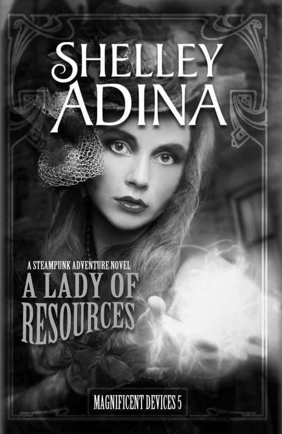 A Lady of Resources, written by Shelley Adina.