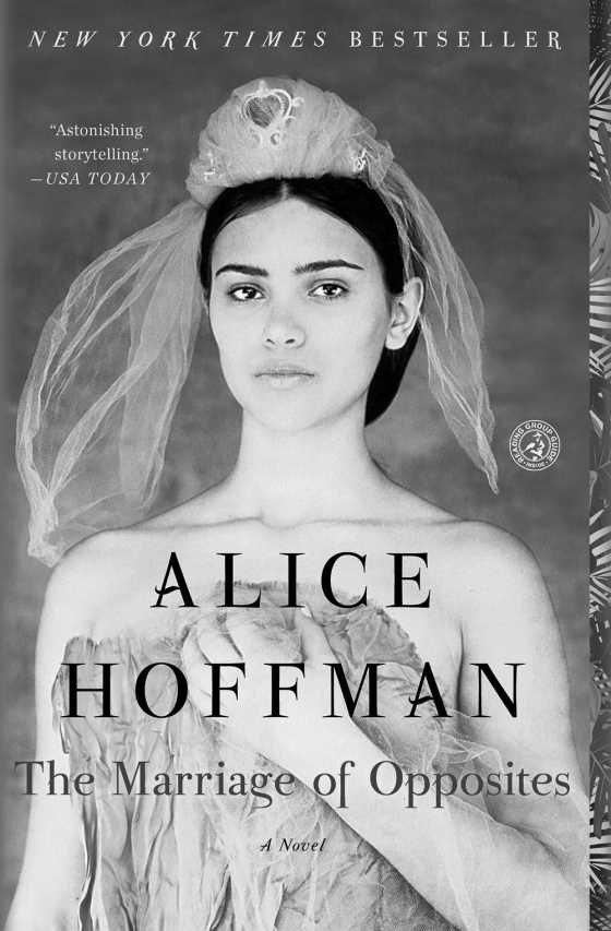 The Marriage of Opposites, written by Alice Hoffman.