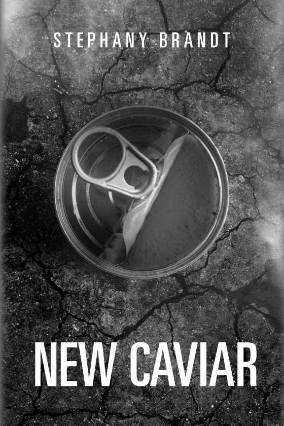Click here to go to the Amazon page of, New Caviar, written by Stephany Brandt.