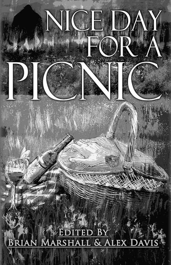 Click here to go to the Amazon page of, Nice Day for a Picnic. written by Anthology.