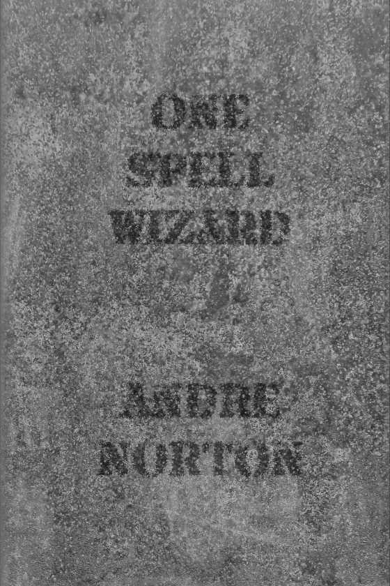 One Spell Wizard, written by Andre Norton.