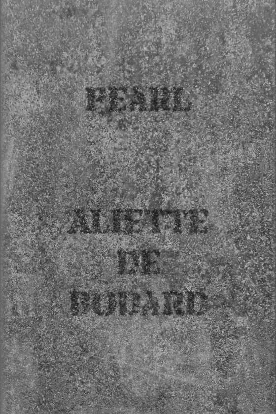 Pearl, written by Aliette de Bodard.