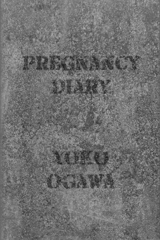 Pregnancy Diary, written by Yoko Ogawa.