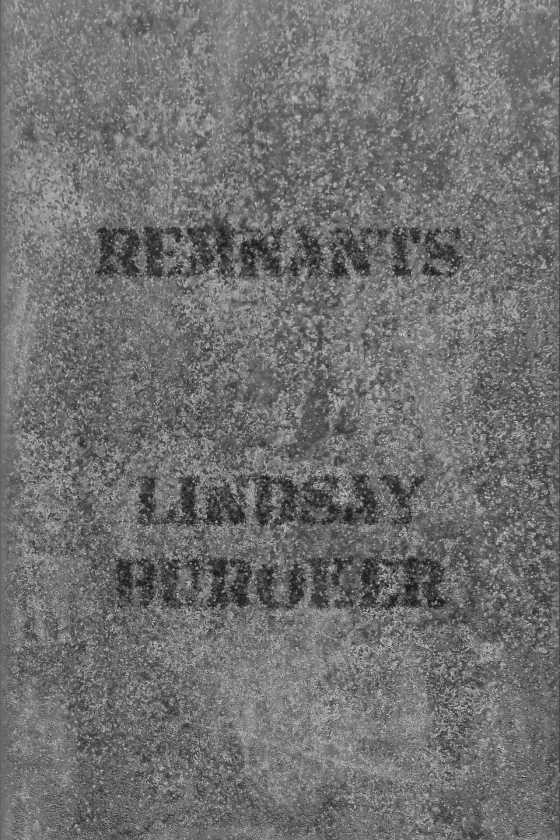Remnants, written by Lindsay Buroker.