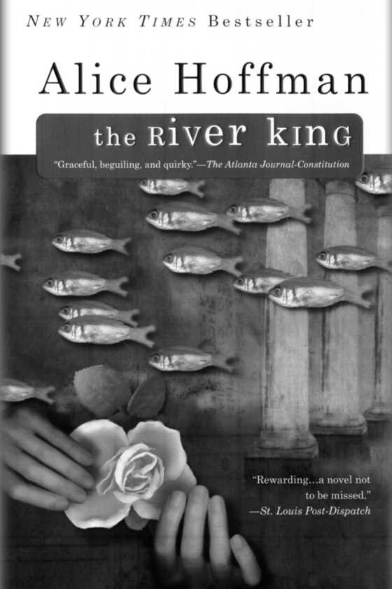 Click here to go to the Amazon page of, The River King, written by Alice Hoffman.