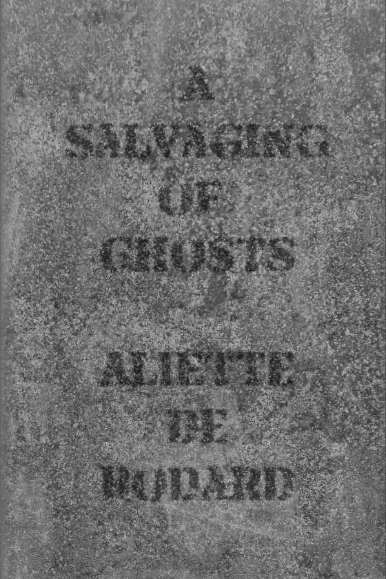 A Salvaging of Ghosts, written by Aliette de Bodard.
