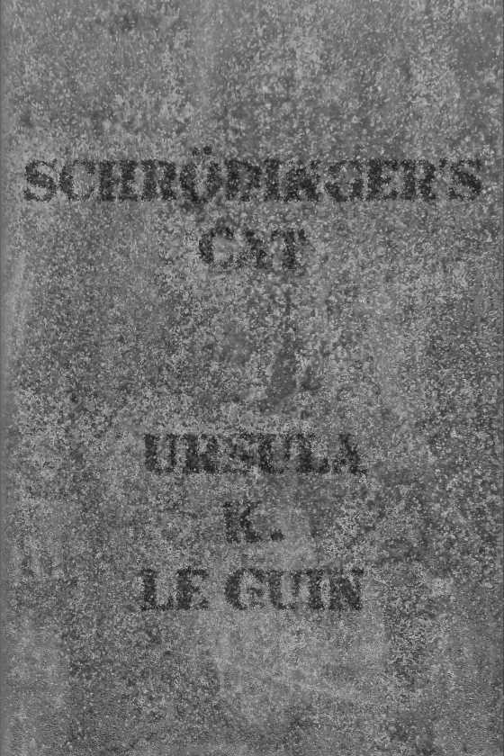 Schrödinger's Cat, written by Ursula K. Le Guin.