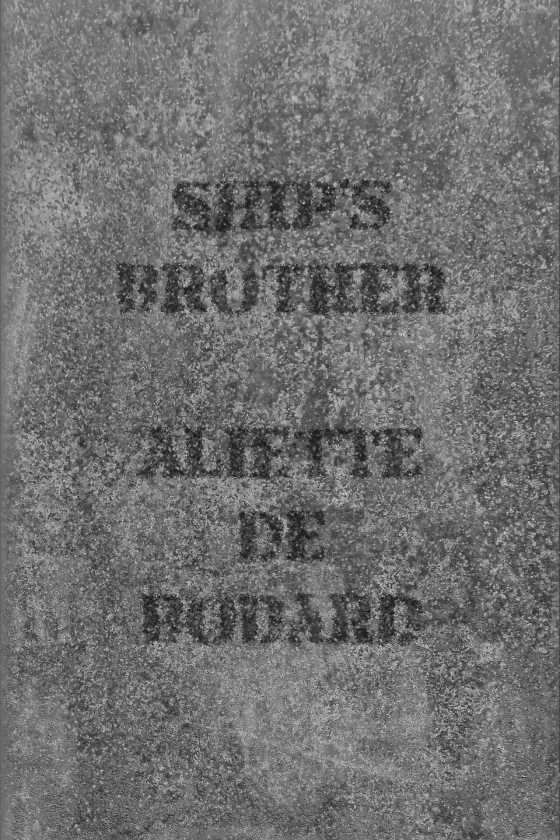 Ship’s Brother, written by Aliette de Bodard.