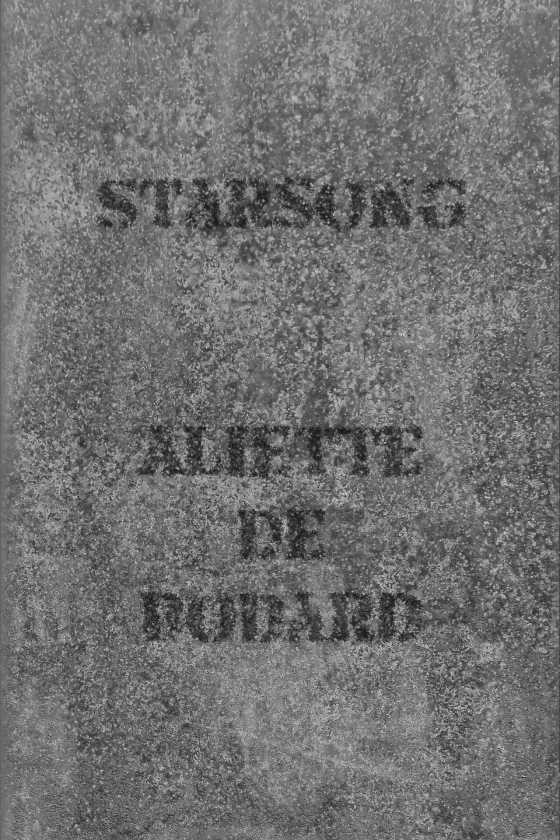 Starsong, written by Aliette de Bodard.