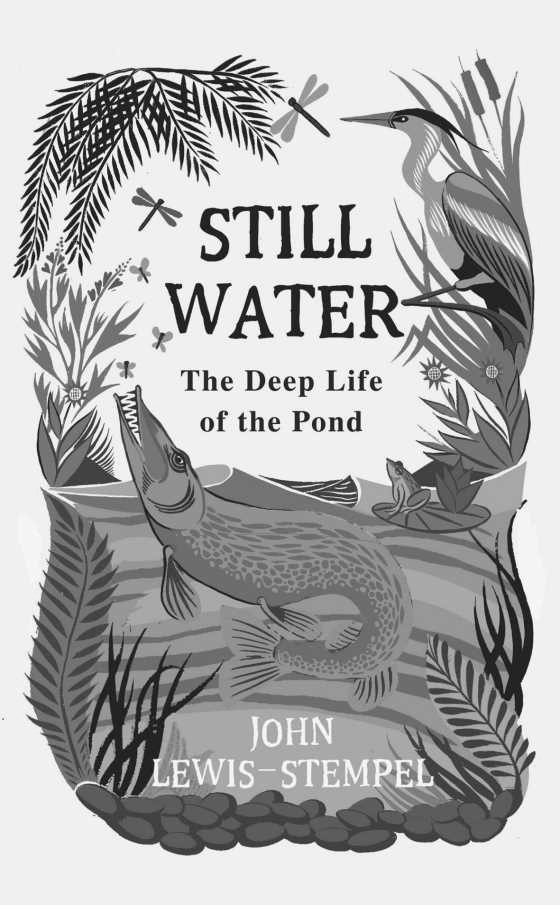 Click here to go to the Amazon page of, Still Water, written by John Lewis-Stempel.