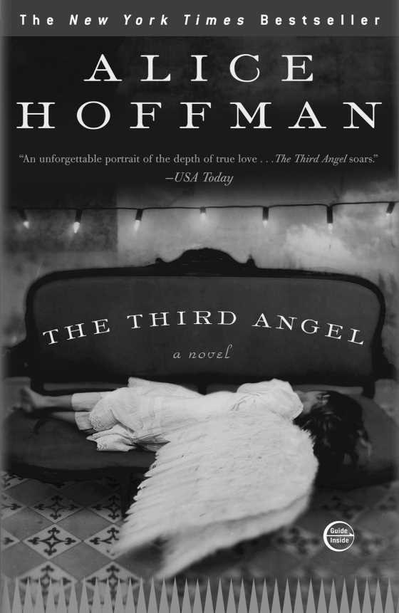 Click here to go to the Amazon page of, The Third Angel, written by Alice Hoffman.