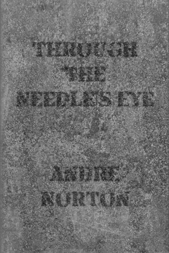 Through the Needle's Eye, written by Andre Norton.