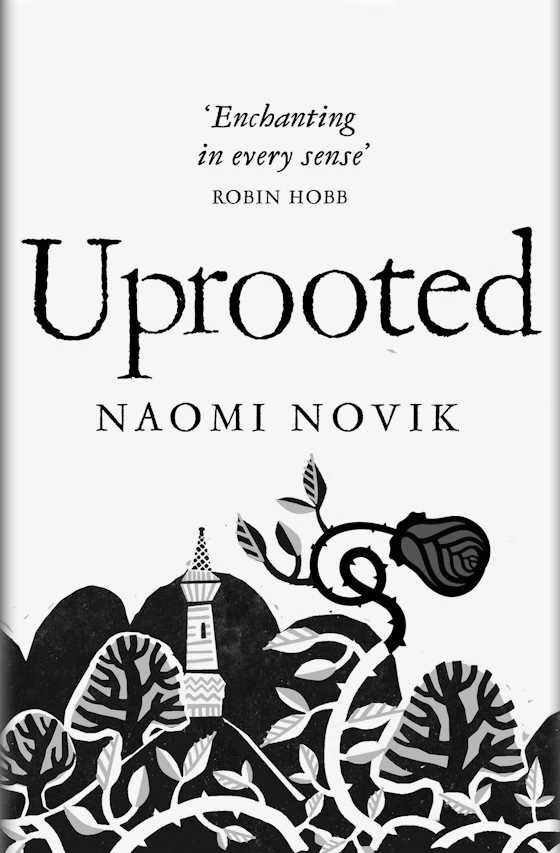 Click here to go to the Amazon page of, Uprooted, written by Naomi Novik.