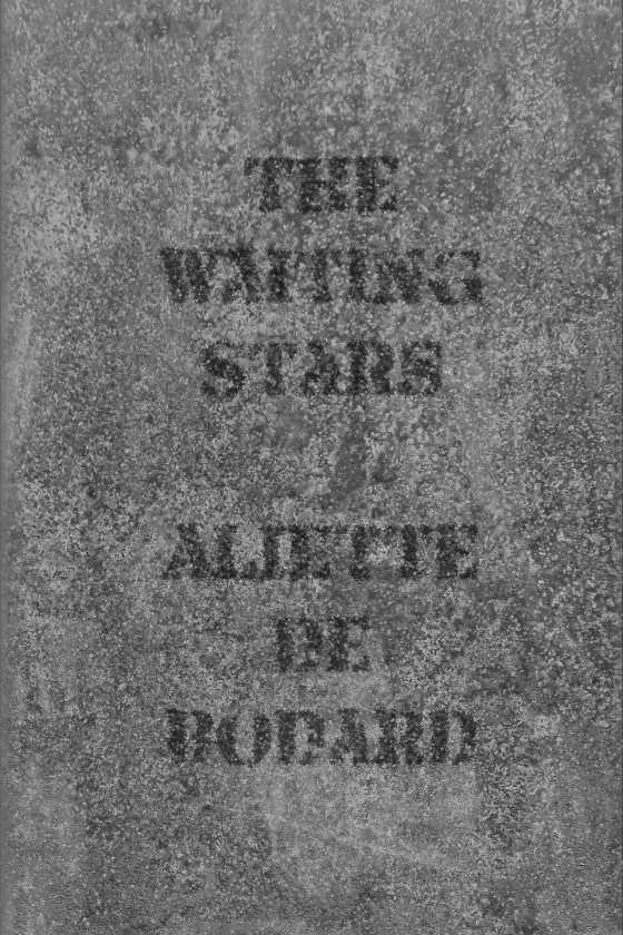 The Waiting Stars, written by Aliette de Bodard.