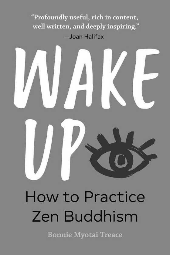 Wake Up, written by Bonnie Myotai Treace.