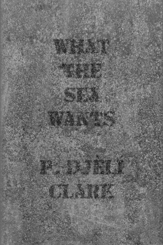 What the Sea Wants, written by P Djèlí Clark.
