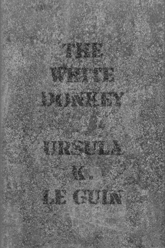 The White Donkey, written by Ursula K Le Guin.