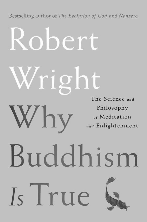 Click here to go to the Amazon page of, Why Buddhism Is True, written by Robert Wright.