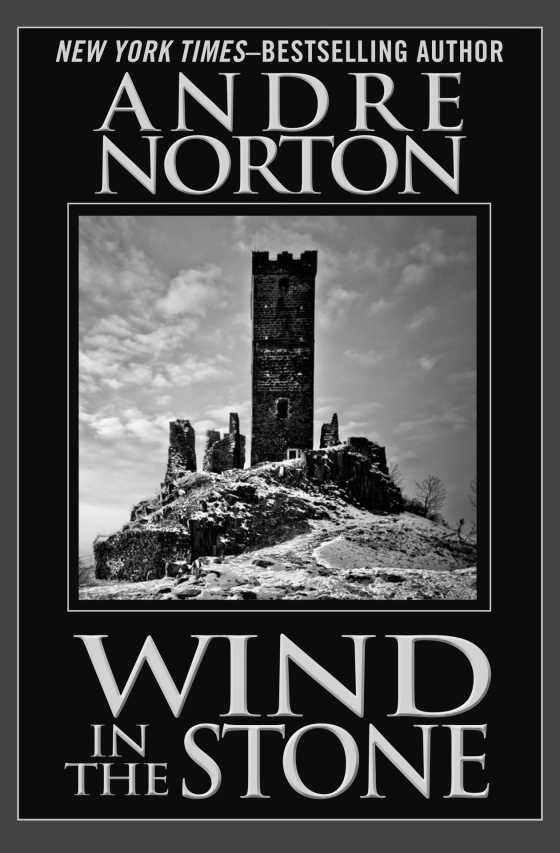 Wind in the Stone, written by Andre Norton.