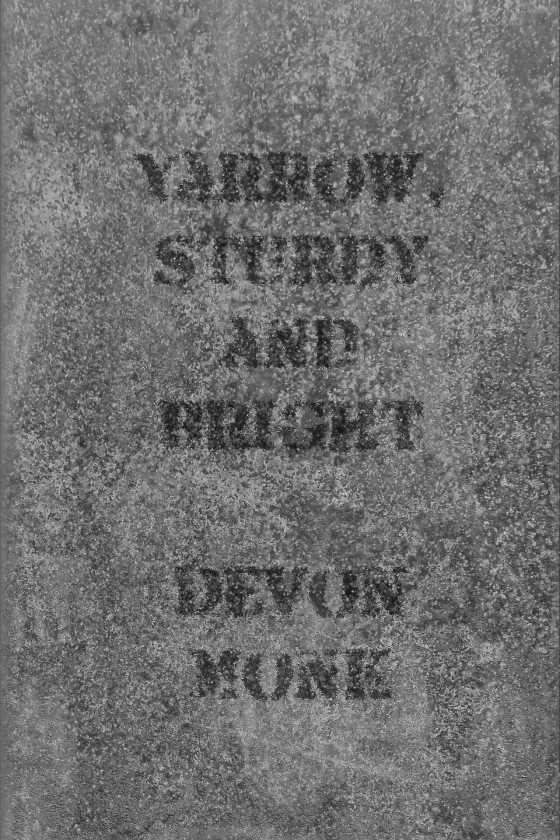 Yarrow, Sturdy and Bright, written by Devon Monk.
